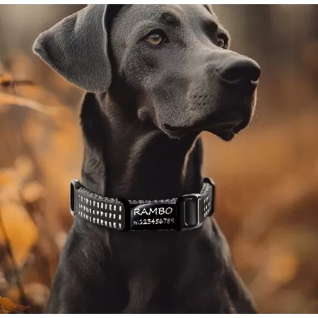 ZAWIESZKA ADRESÓWKA IDENTYFIKATOR imię dla psa GRAWER na obrożę CZARNA
