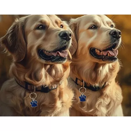 IDENTYFIKATOR ADRESÓWKA ZAWIESZKA DLA PSA KOTA ŁAPKA GRAWER WŁASNY NAPIS