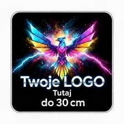 Naprasowanka Grafika Logo Termo Aplikacja Naklejka Własny Nadruk DTF 30cm
