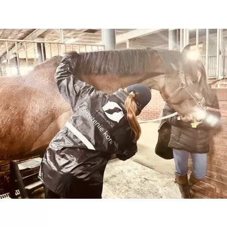 Naprasowanka Grafika Logo Termo Aplikacja Naklejka Własny Nadruk DTF 30cm