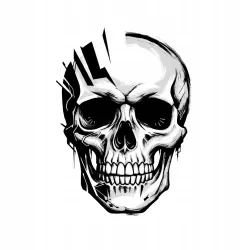 Naprasowanka Czaszka Grafika Termo Aplikacja Naklejka Nadruk 25 cm