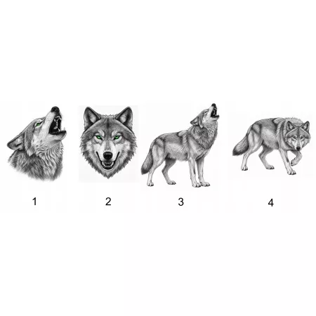 Naprasowanka Wilk Grafika Termo Aplikacja Naklejka Nadruk 25 cm