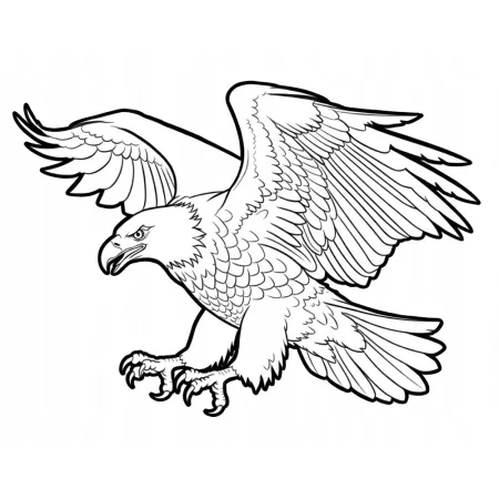 Naprasowanka Orzeł Grafika Termo Aplikacja Naklejka Nadruk 25 cm