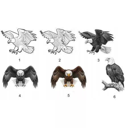 Naprasowanka Orzeł Grafika Termo Aplikacja Naklejka Nadruk 25 cm